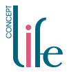 Создание интернет-магазина Life-Concept.ru